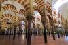 la segunda mezquita mas grande del Mundo esta en Cordoba