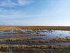 Que ver en el delta del Ebro campos de arroz